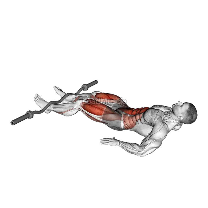 EZ Bar Reverse Crunch demonstration