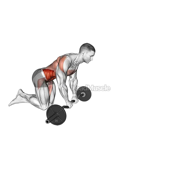 EZ Bar Knelling Rollout demonstration