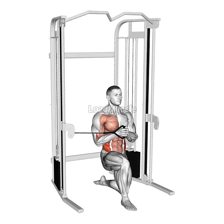 Cable Half Kneeling Pallof Press demonstration