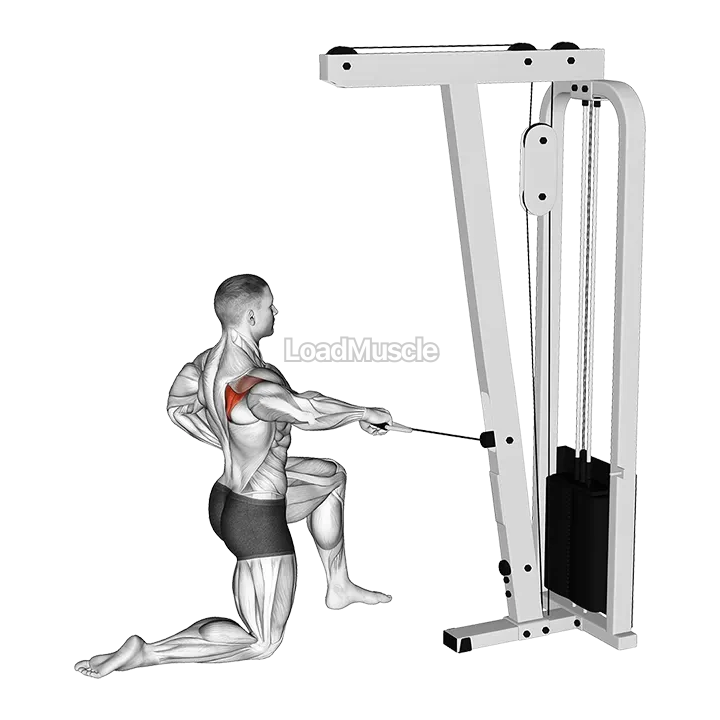 Cable Half Kneeling External Rotation demonstration