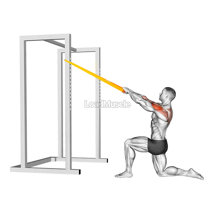 Resistance Band Half Kneeling Face Pull demonstration