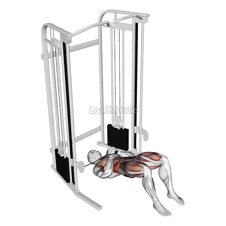 Cable Pallof Press with Glute Bridge demonstration