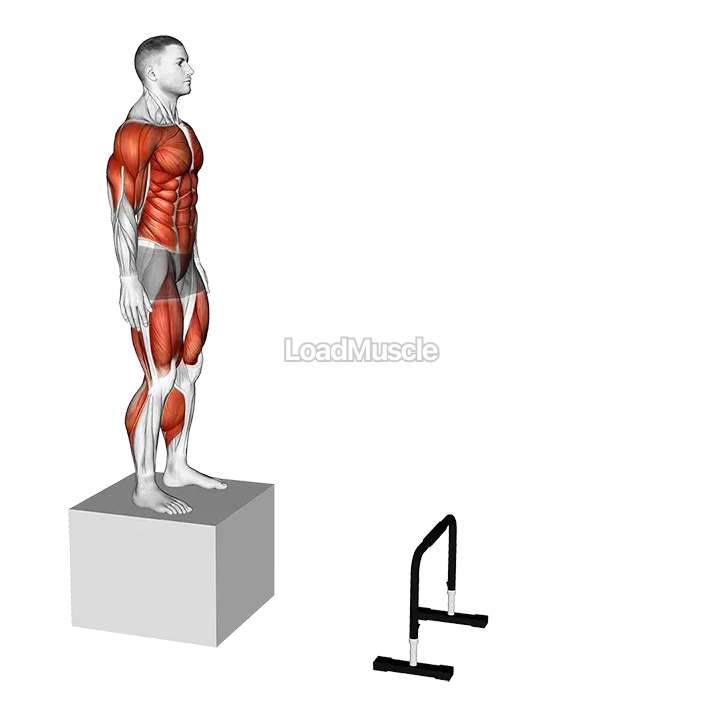 Depth Jump to Hurdle Hop demonstration
