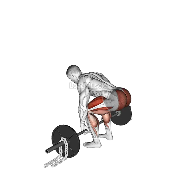 Barbell Deadlift against Chains demonstration