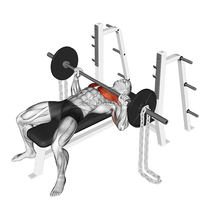 Barbell Bench Press against Chains demonstration