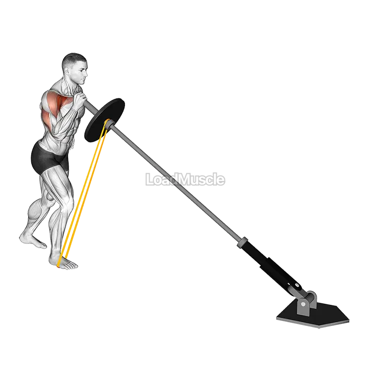 Landmine Resistance Band One Arm Shoulder Press demonstration