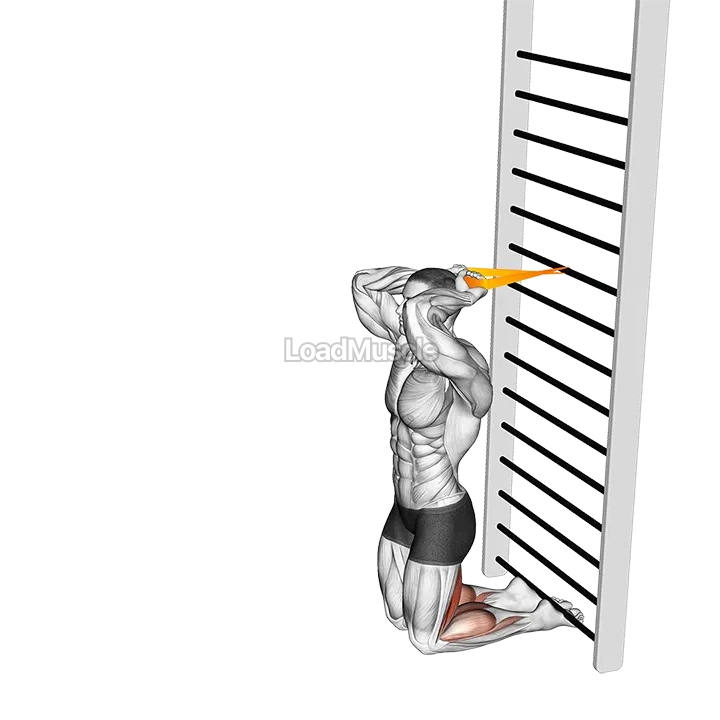 Resistance Band Assisted Nordic Hamstring Curl demonstration