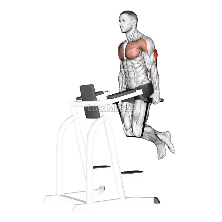 Band Assisted Dip demonstration