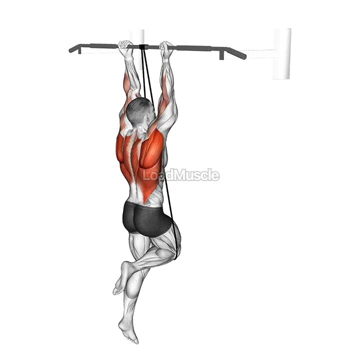 Band Assisted Chin-Up (From Knee) demonstration