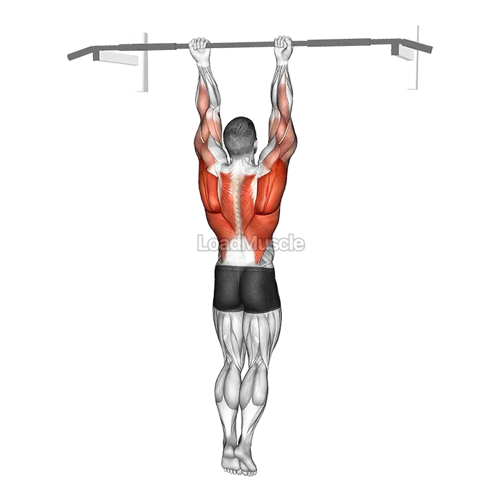 Chin-Up Around the Bar demonstration