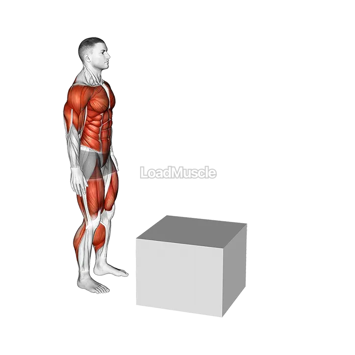 2 to 1 Jump Box demonstration