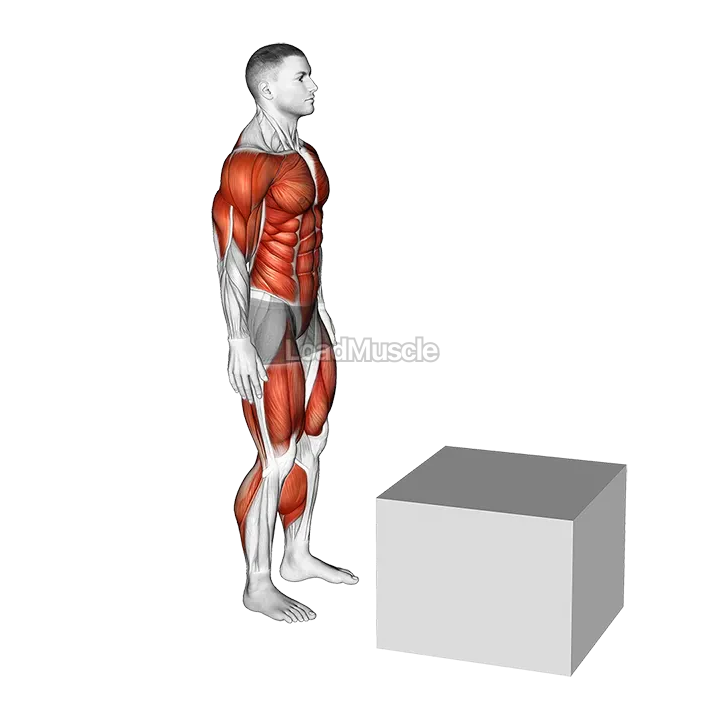 1 to 2 Jump Box demonstration