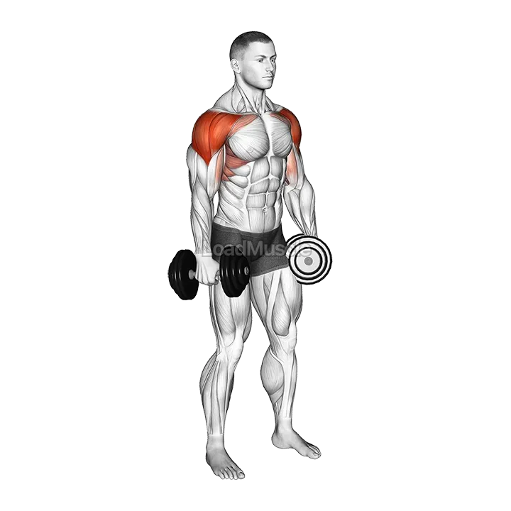 Dumbbell 4 Ways Lateral Raise demonstration