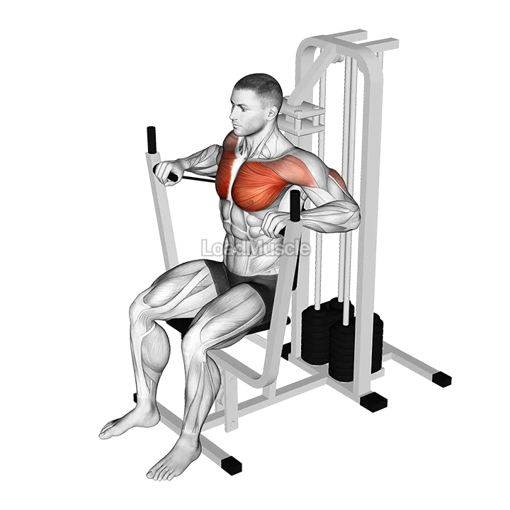 Lever Banded Chest Press demonstration
