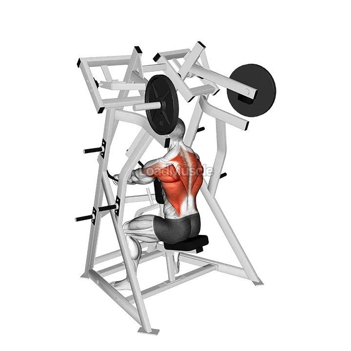 Lever Low Row (plate loaded) demonstration