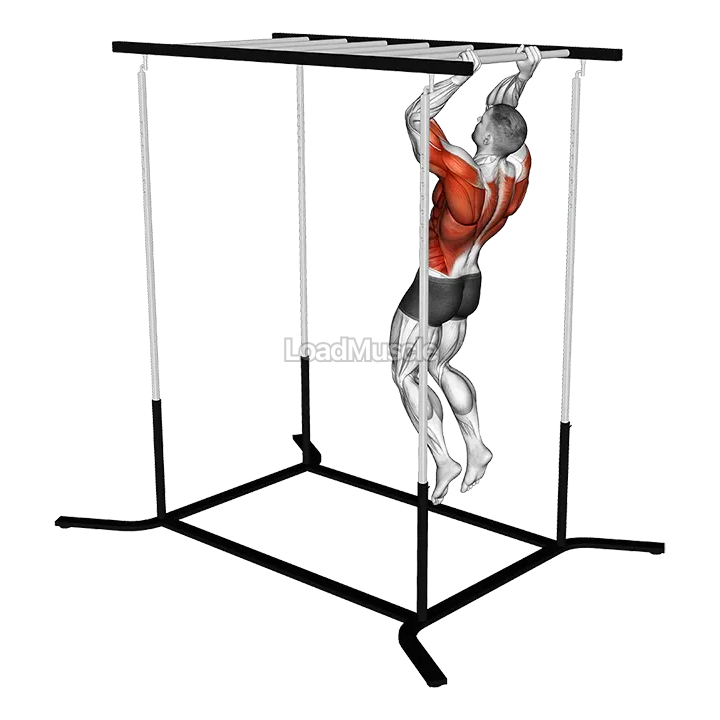 Climbing Monkey Bars demonstration