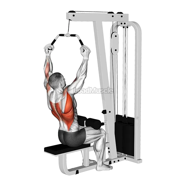 Cable Wide Neutral Grip PullDown demonstration