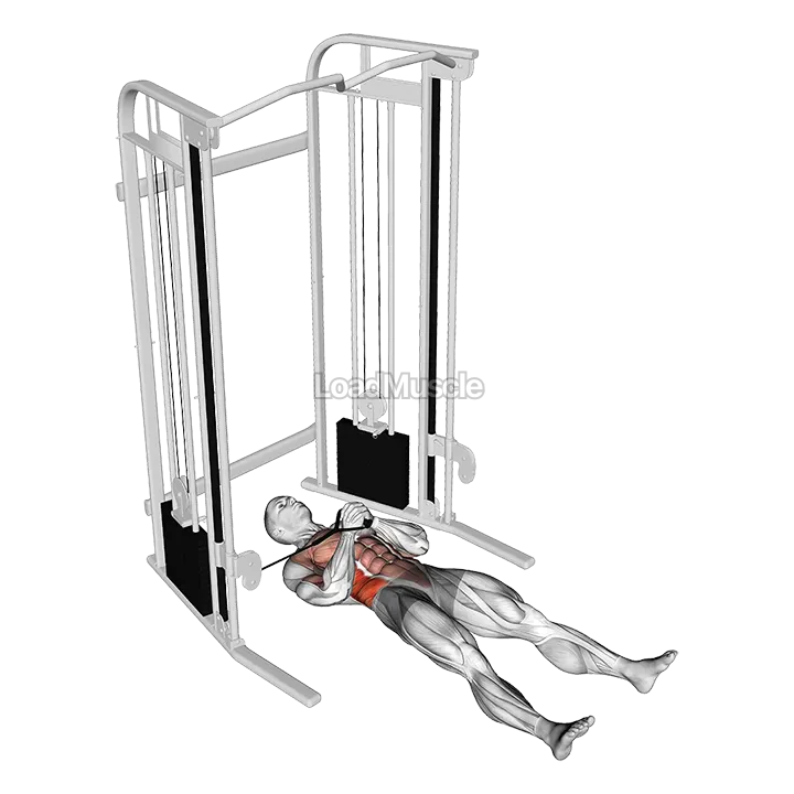 Cable Lying Pallof Press demonstration