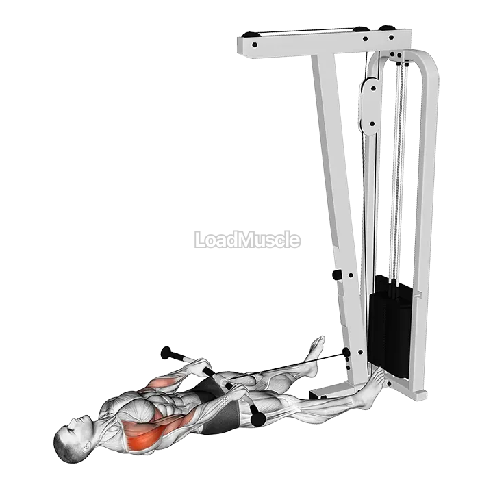 Cable Lying Upright Row demonstration