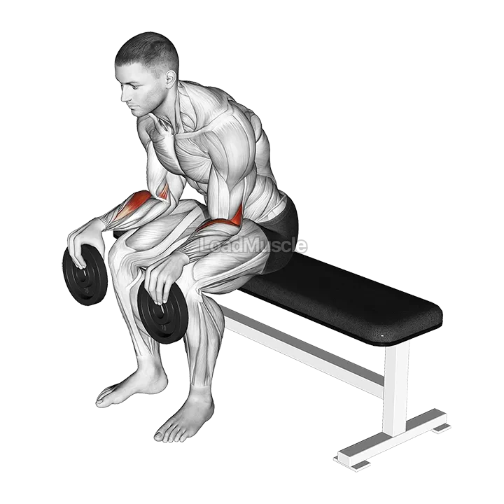 Weighted Seated Supination demonstration