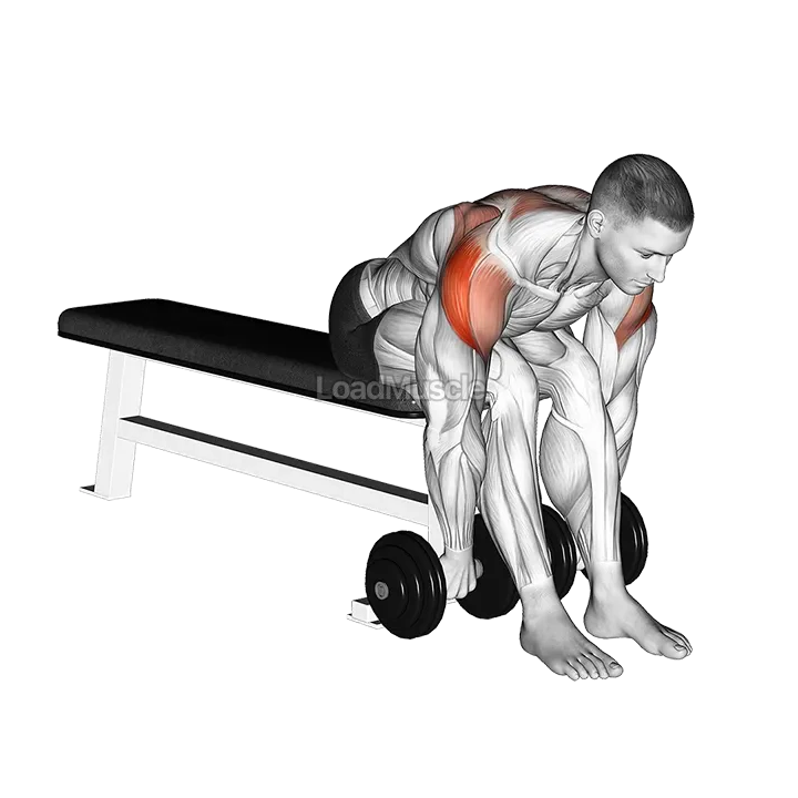 Dumbbell Seated Bent Over Rear Delt Row demonstration