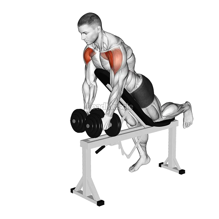 Dumbbell Incline Two Front Raise with Chest Support demonstration