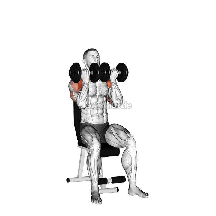 Dumbbell Seated Close Grip Press demonstration
