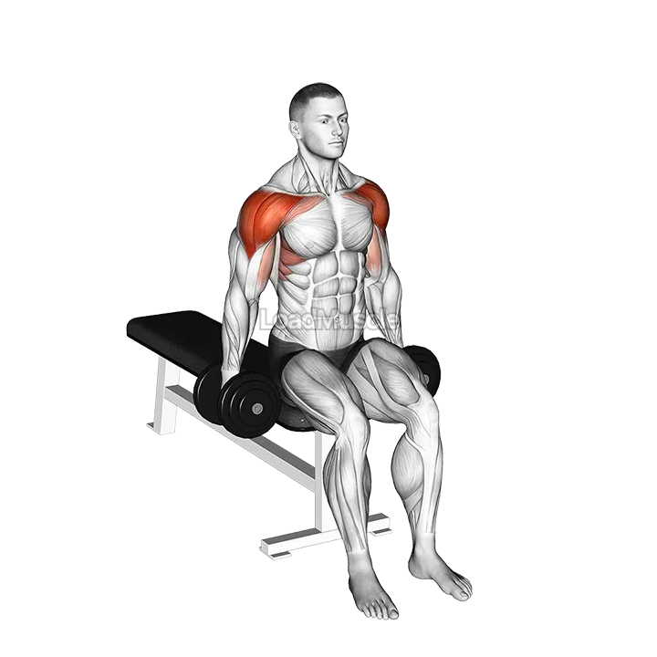 Dumbbell Seated Lateral to Front Raise demonstration