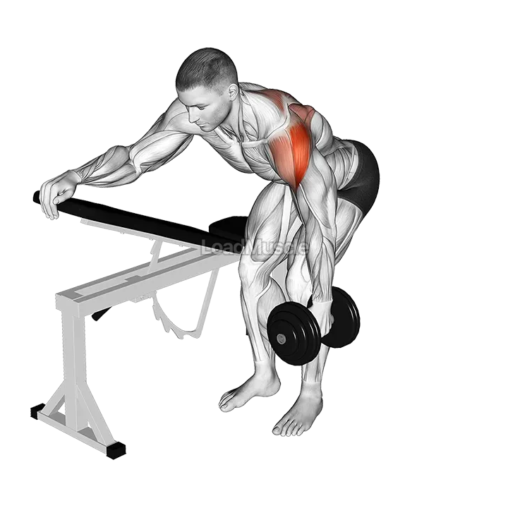 Dumbbell One Arm Reverse Fly (with support) demonstration