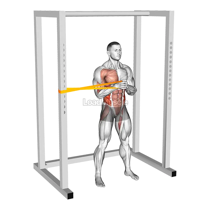 Resistance Band Horizontal Pallof Press demonstration