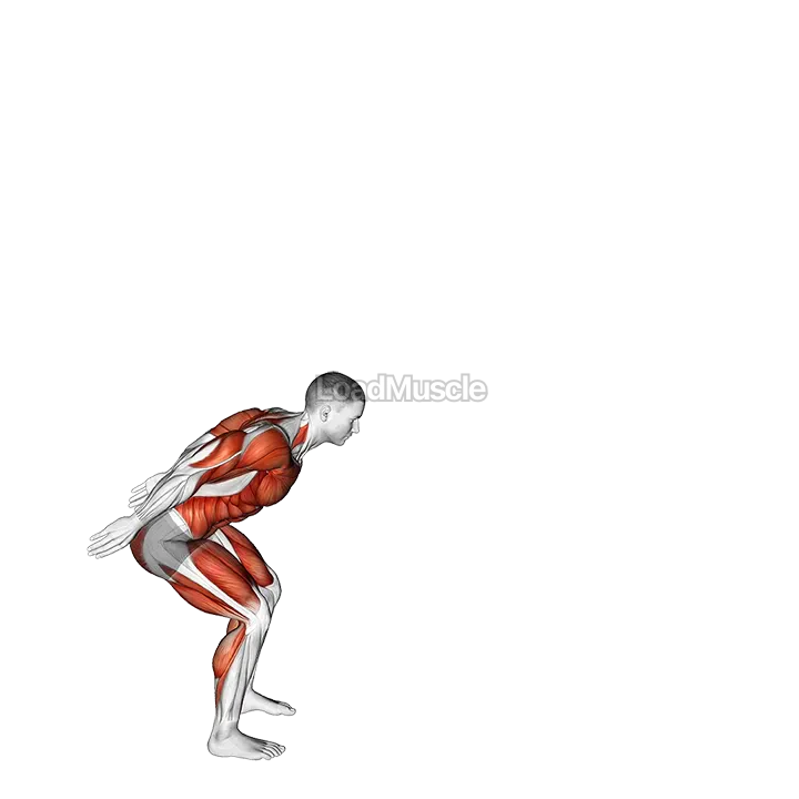 Broad Jump to Vertical demonstration