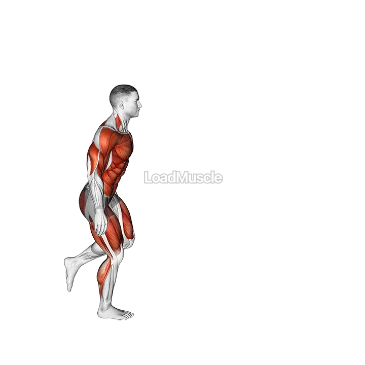 Single Leg Board Jump demonstration