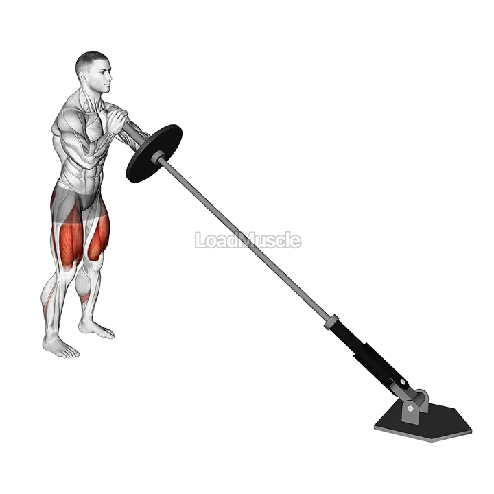 Landmine Front Squat demonstration