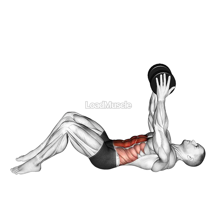 Dumbbell Straight Arm Crunch demonstration