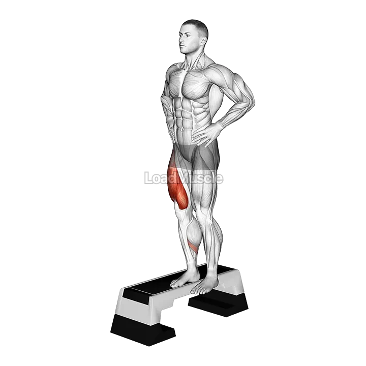 Stepdown Squat demonstration