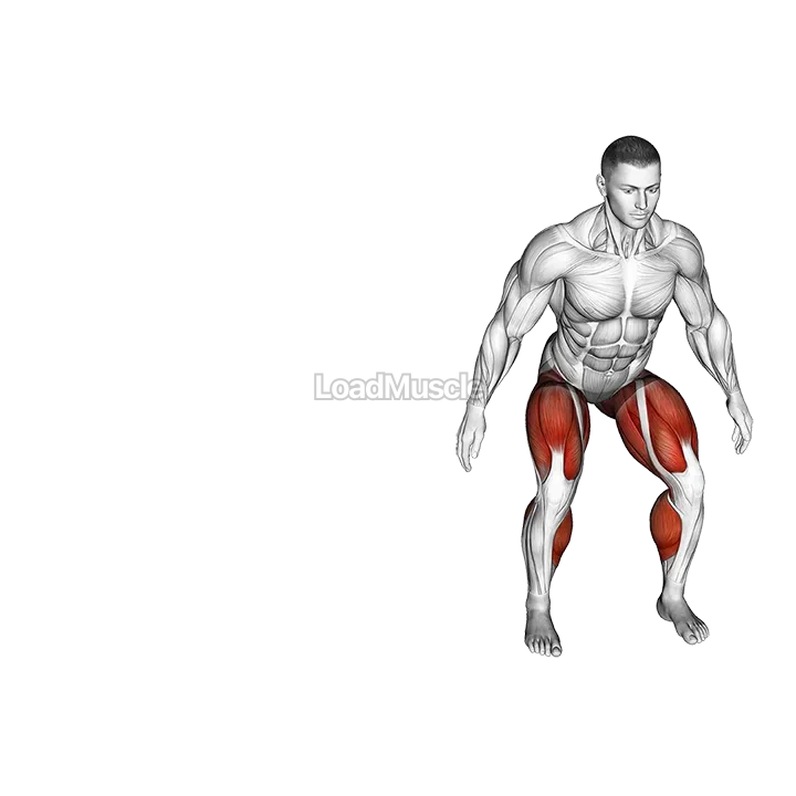 Shuffle demonstration