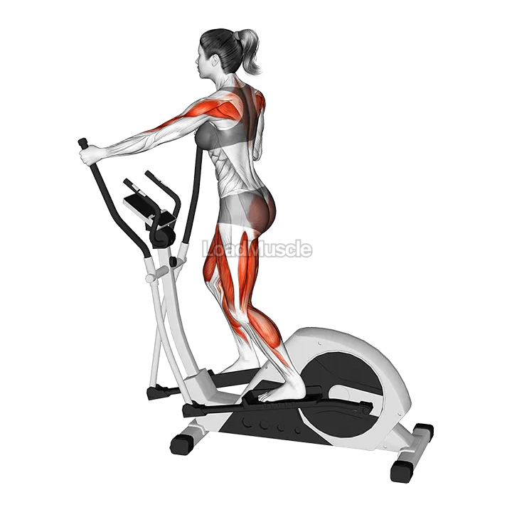 Walking on Elliptical Machine demonstration