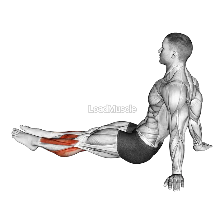 Feet and Ankles Stretch demonstration