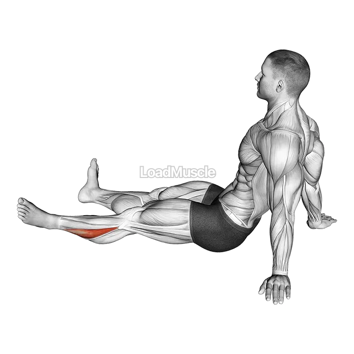 Feet and Ankles Rotation Stretch demonstration