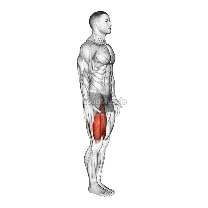 Knee Raise demonstration