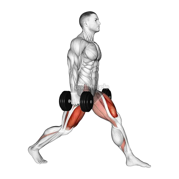 Dumbbell Static Lunge demonstration