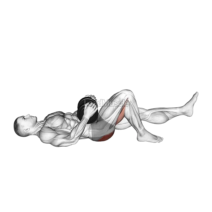 Dumbbell Single Leg Glute Bridge demonstration