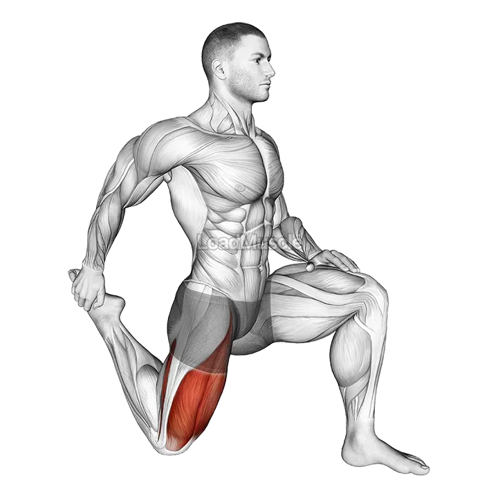 Quadriceps stretch demonstration