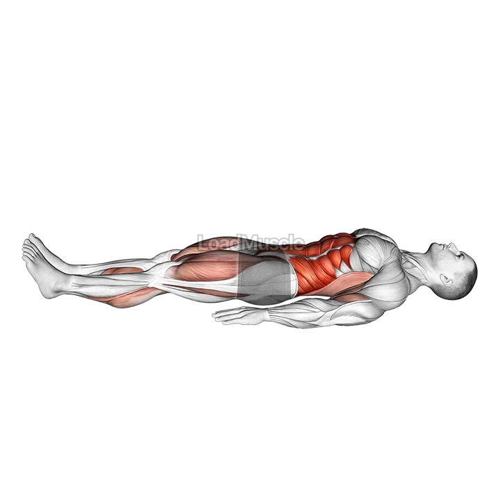 Single Leg Stretch (bent knee) demonstration