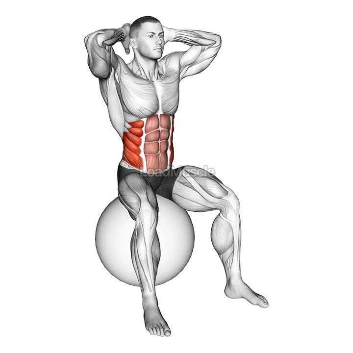 Spinal Stretch (on stability ball) demonstration