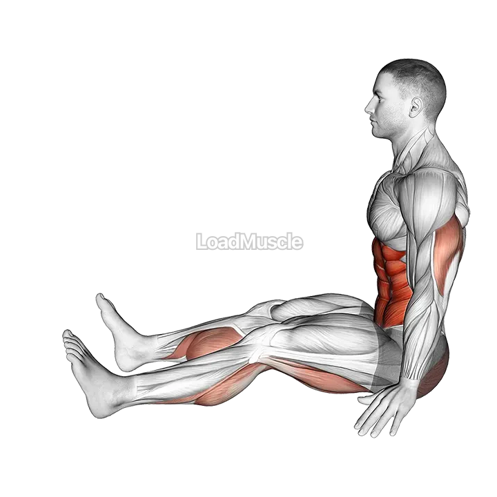 Spine Stretch Forward demonstration