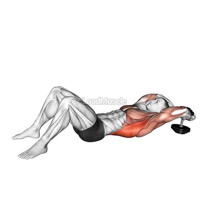 Dumbbell Pullover on floor demonstration