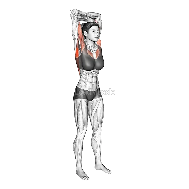 Standing reach-up back rotation stretch demonstration