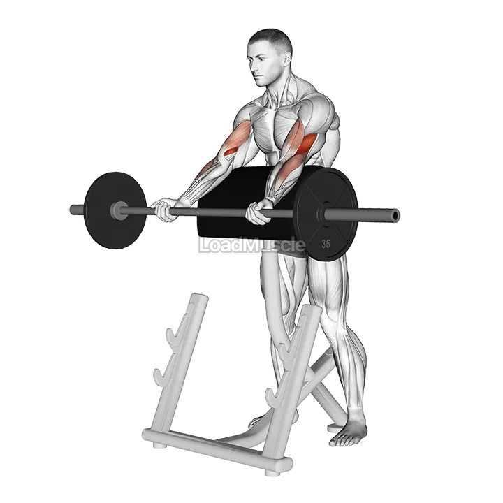 Barbell Spider Curl demonstration