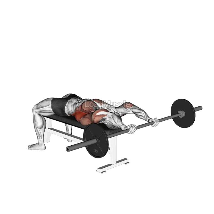 Barbell Pullover demonstration